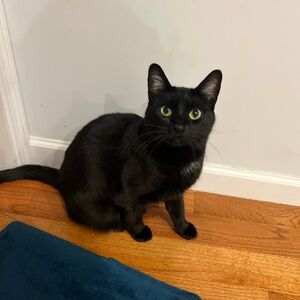 Meet your Posher, Liam